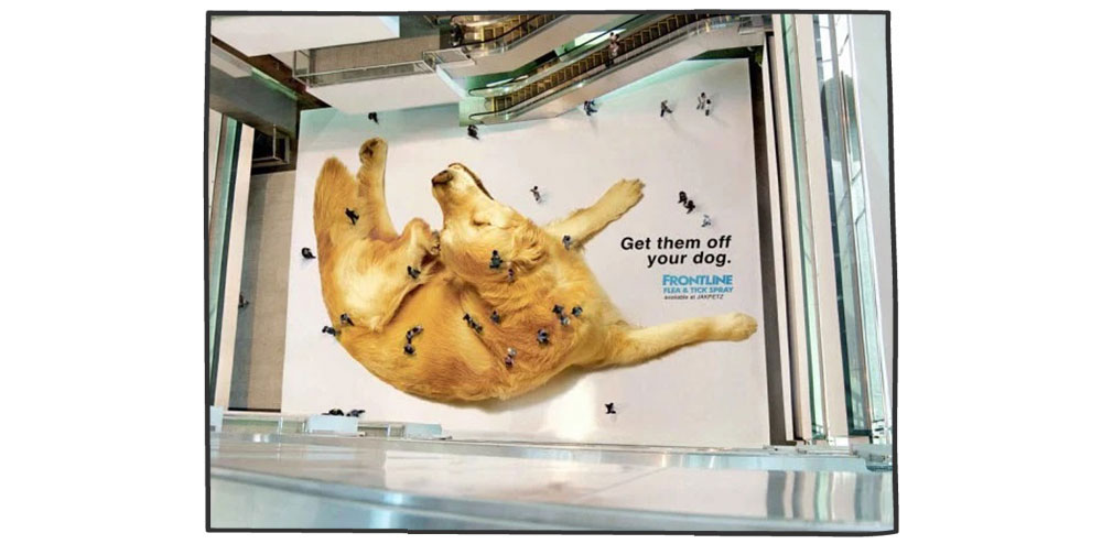 بازاریابی چریکی- آگهی شرکت فرانت لاین